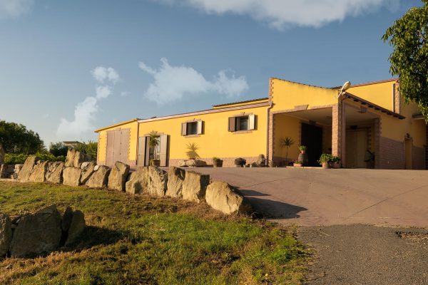 Vigne Deriu - Cellar and vineyrads in Codrongianos