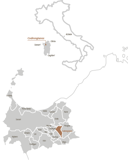 Vigne Deriu - Codrongianos - Sardegna, Italia